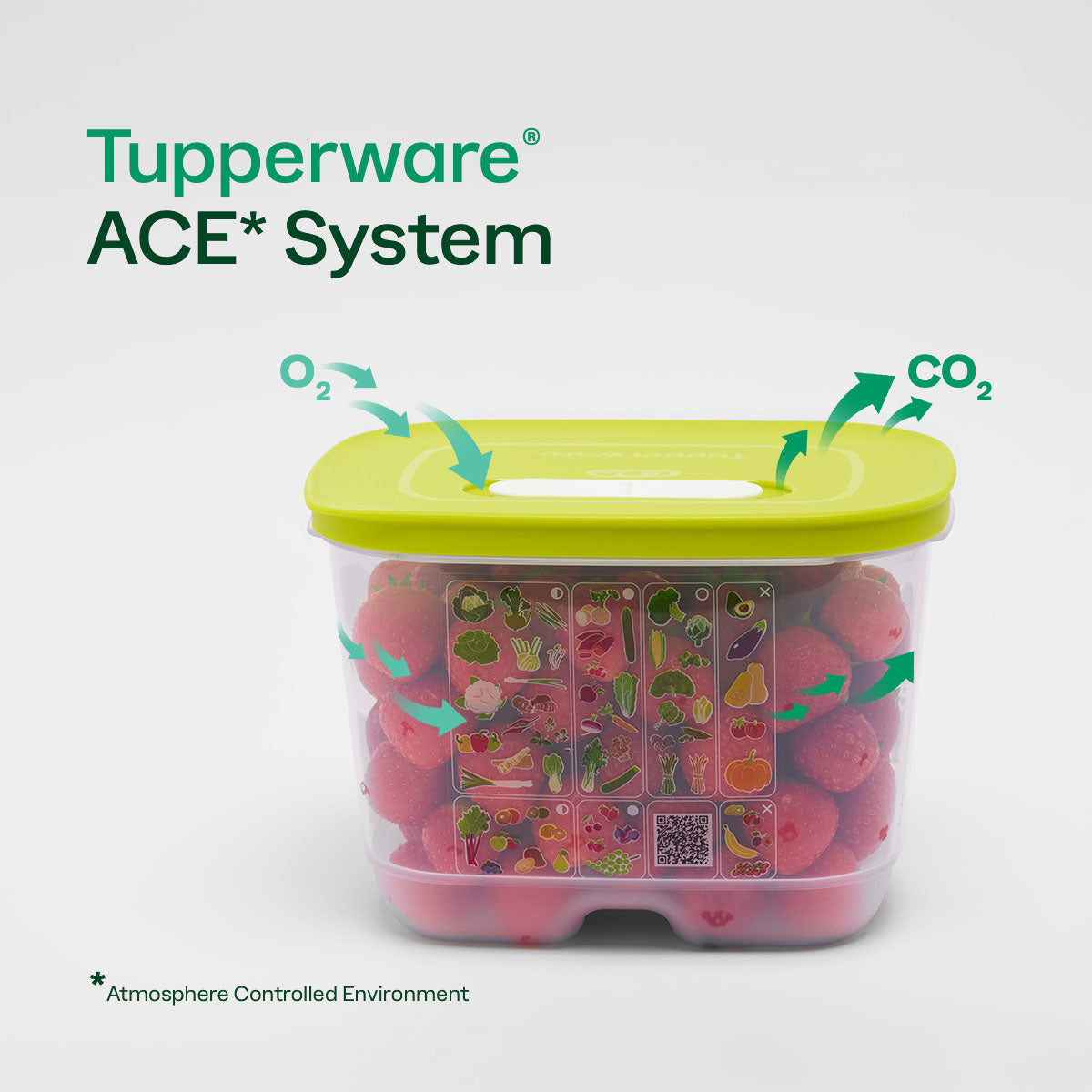 FridgeSmart? Containers