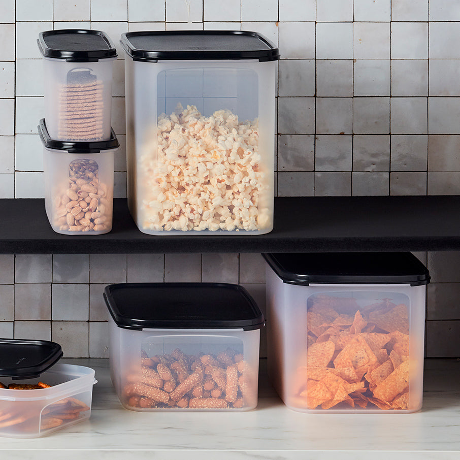 Tupperware? Modular Mates? Rectangular 2 | Food Storage Container
