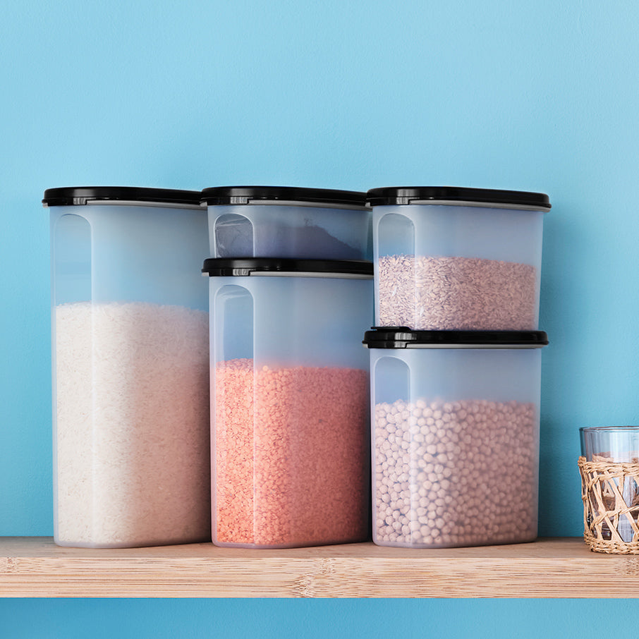Tupperware? Modular Mates? Oval 2 | Food Storage Container
