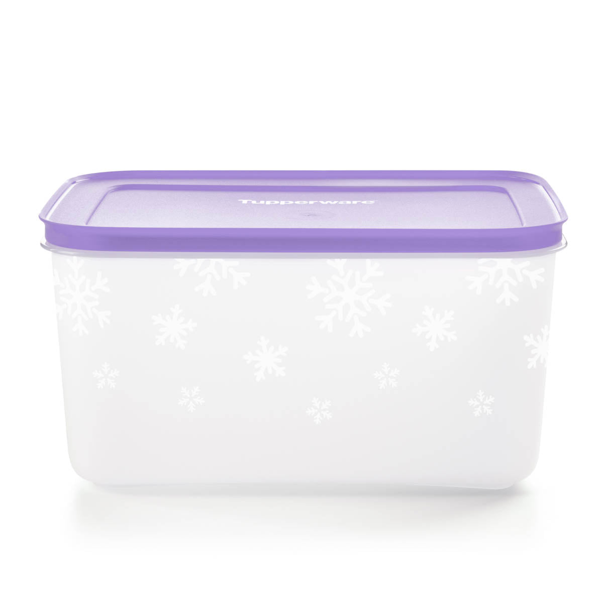 Tupperware? Freezer Mates? PLUS Medium Deep | Food Storage Container