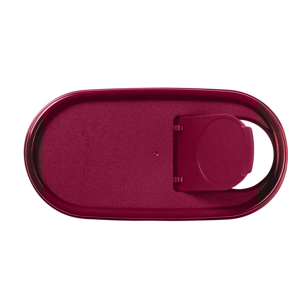 Tupperware? Modular Mates? Oval | Pour-All Seal | Food Storage