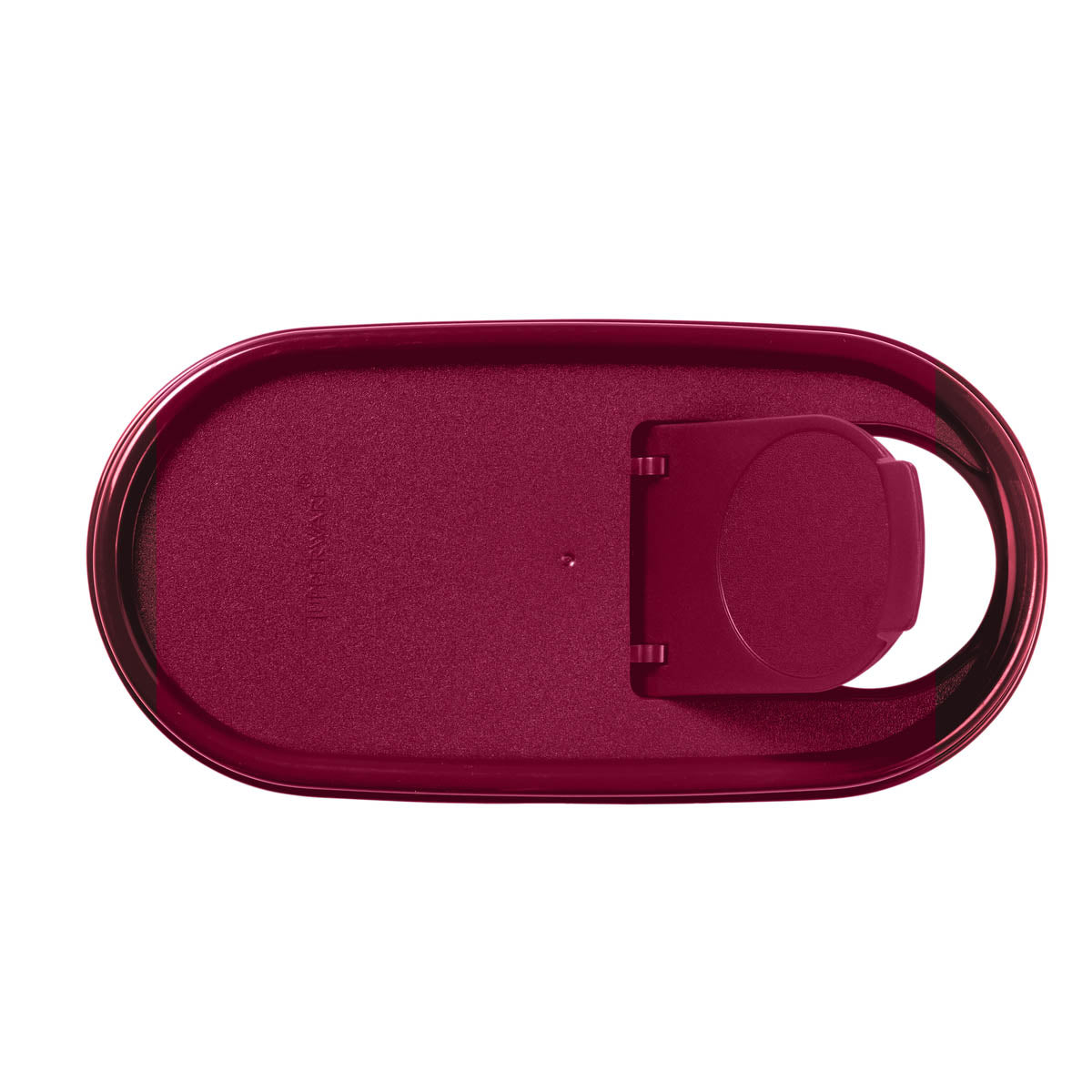 Tupperware? Modular Mates? Oval | Pour-All Seal | Food Storage
