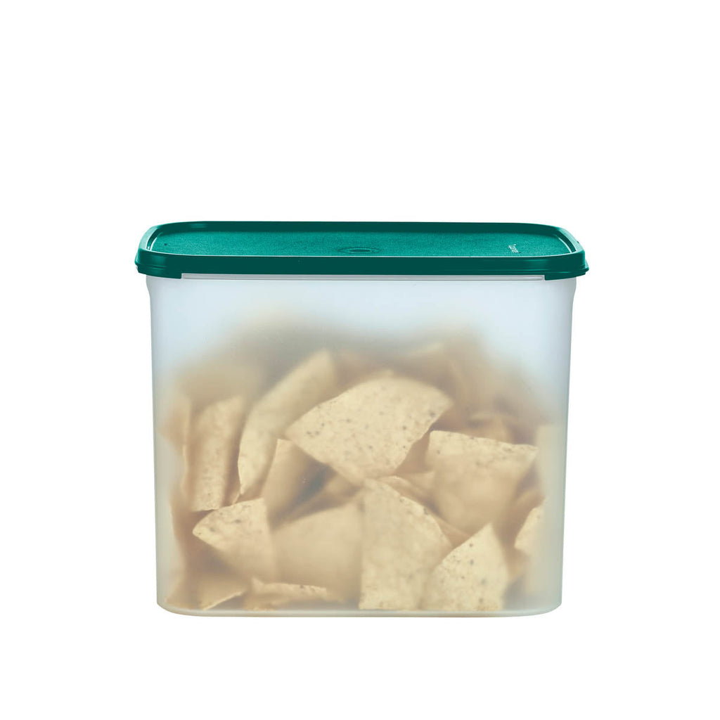 Tupperware? Modular Mates? Rectangular 4 | Food Storage Container