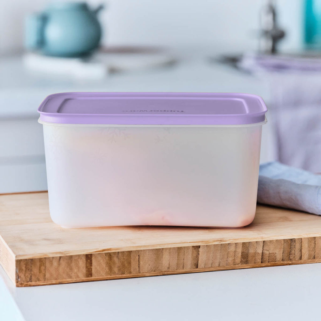 Tupperware? Freezer Mates? PLUS Medium Deep | Food Storage Container
