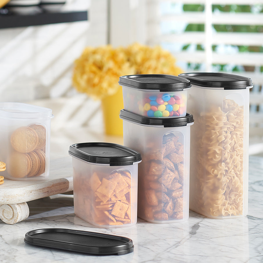 Tupperware? Modular Mates? Oval 4 | Food Storage Container