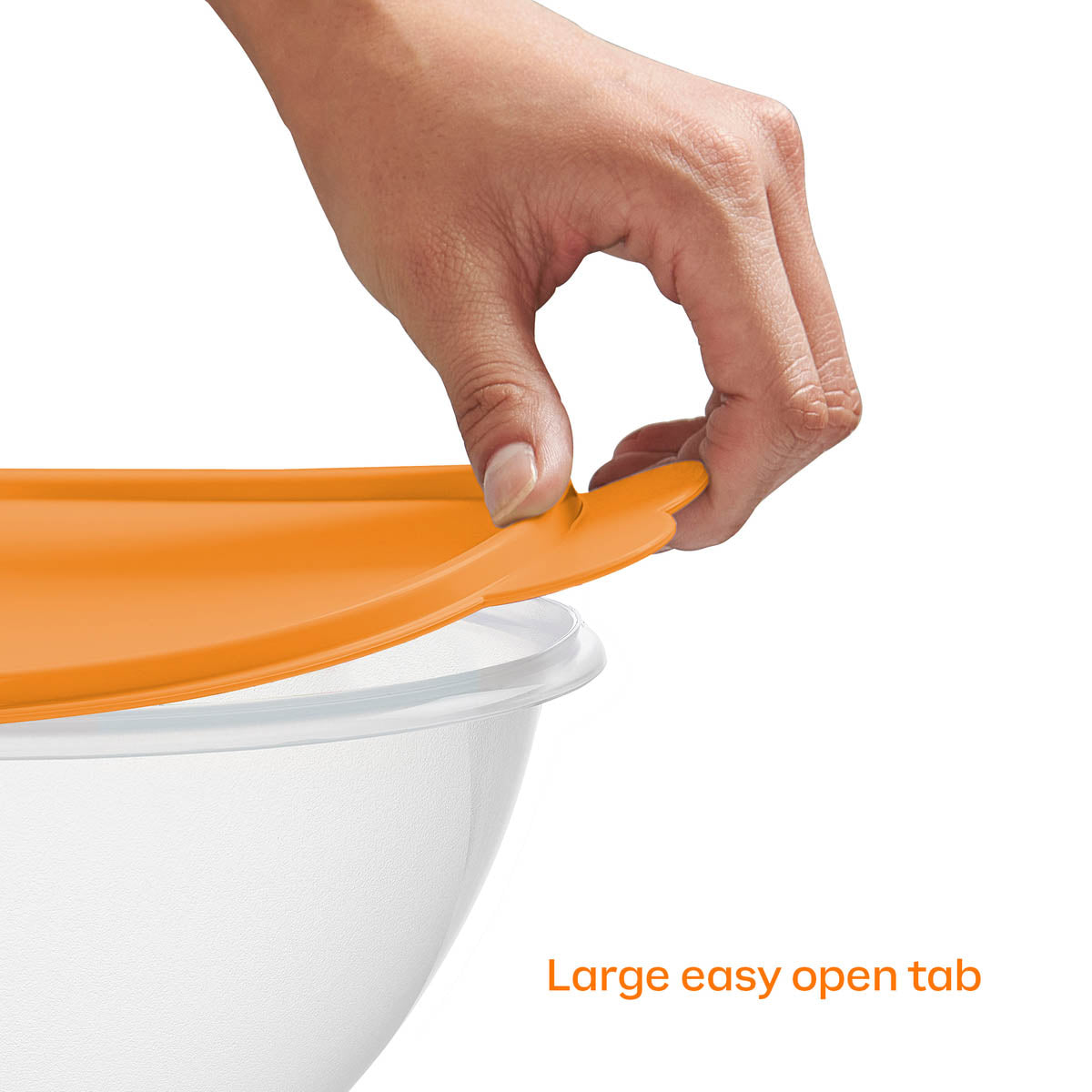 Classic Wonderlier? Bowls | 5-piece Set