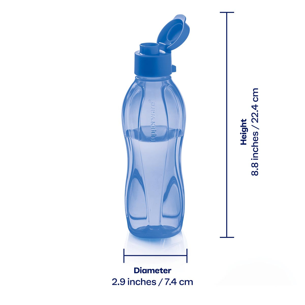 Eco+ Bottle | Small