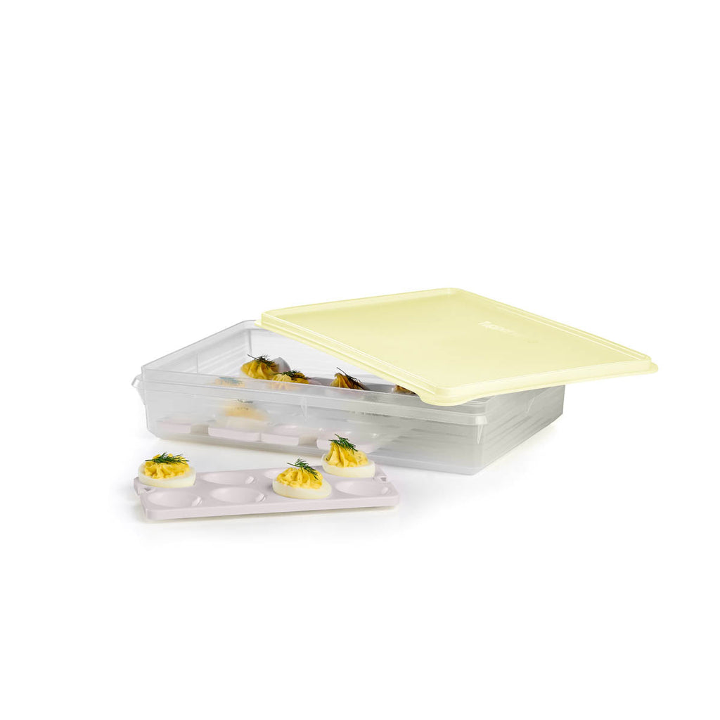 Tupperware? Snack-Stor? Large Storage Container with 3 Egg Tray Inserts