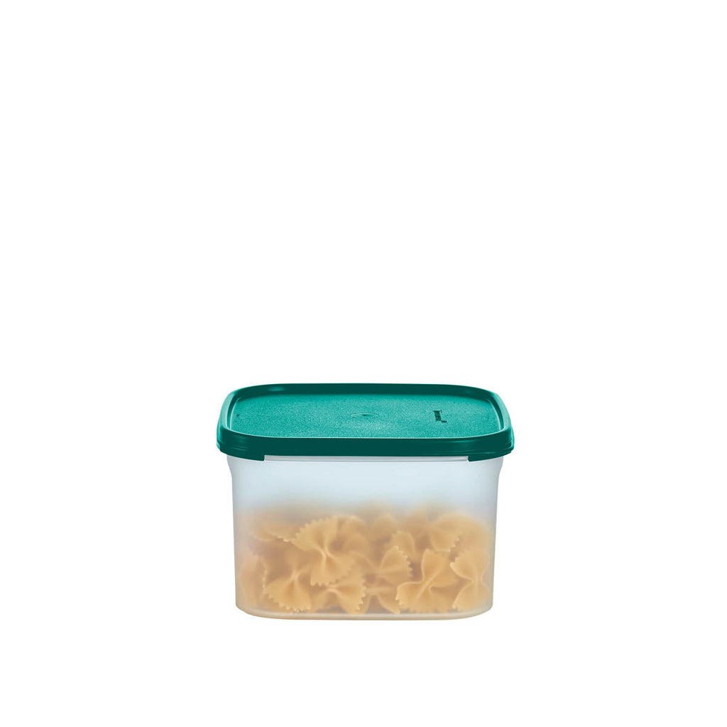 Tupperware? Modular Mates? Square 2| Food Storage Container