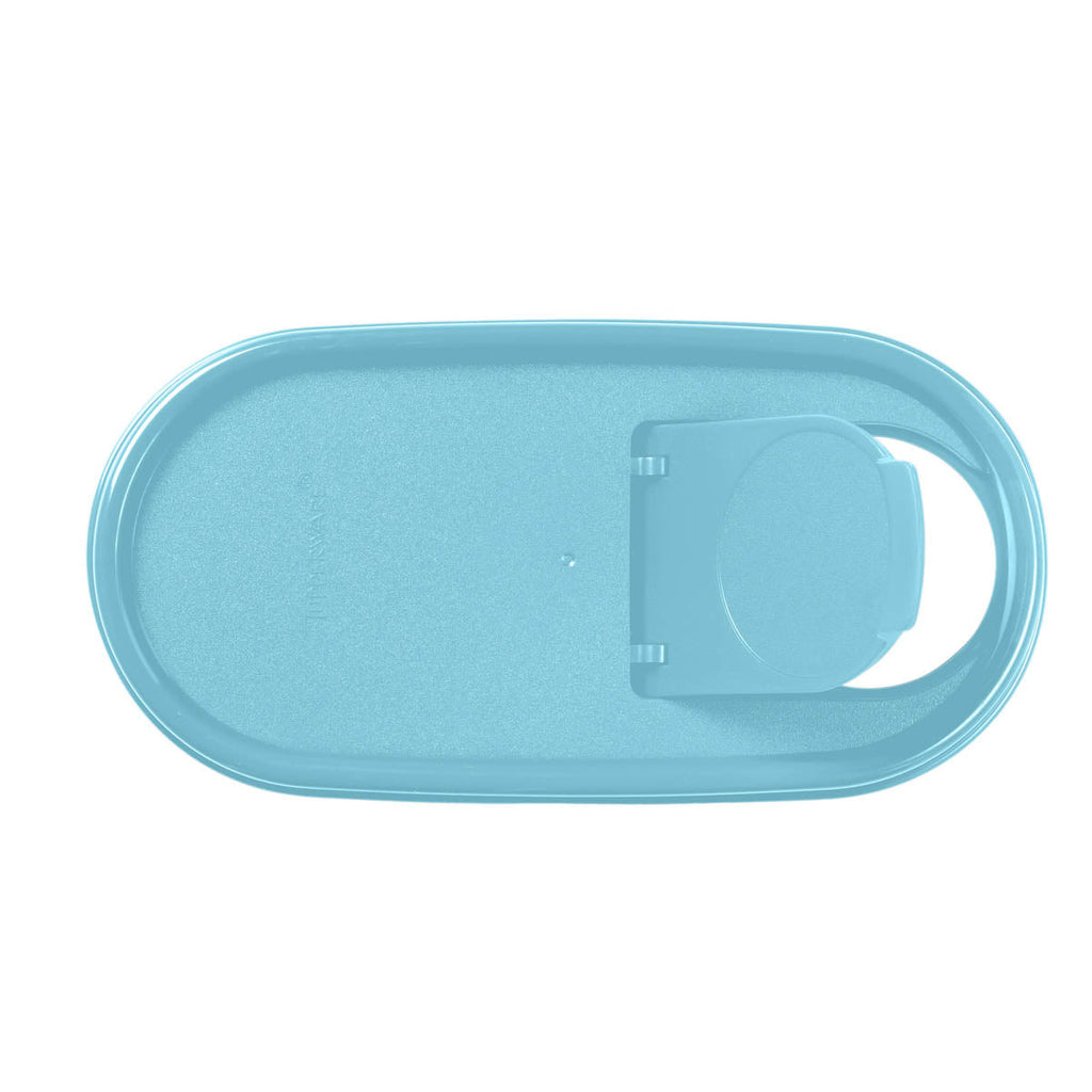 Tupperware? Modular Mates? Oval | Pour-All Seal | Food Storage