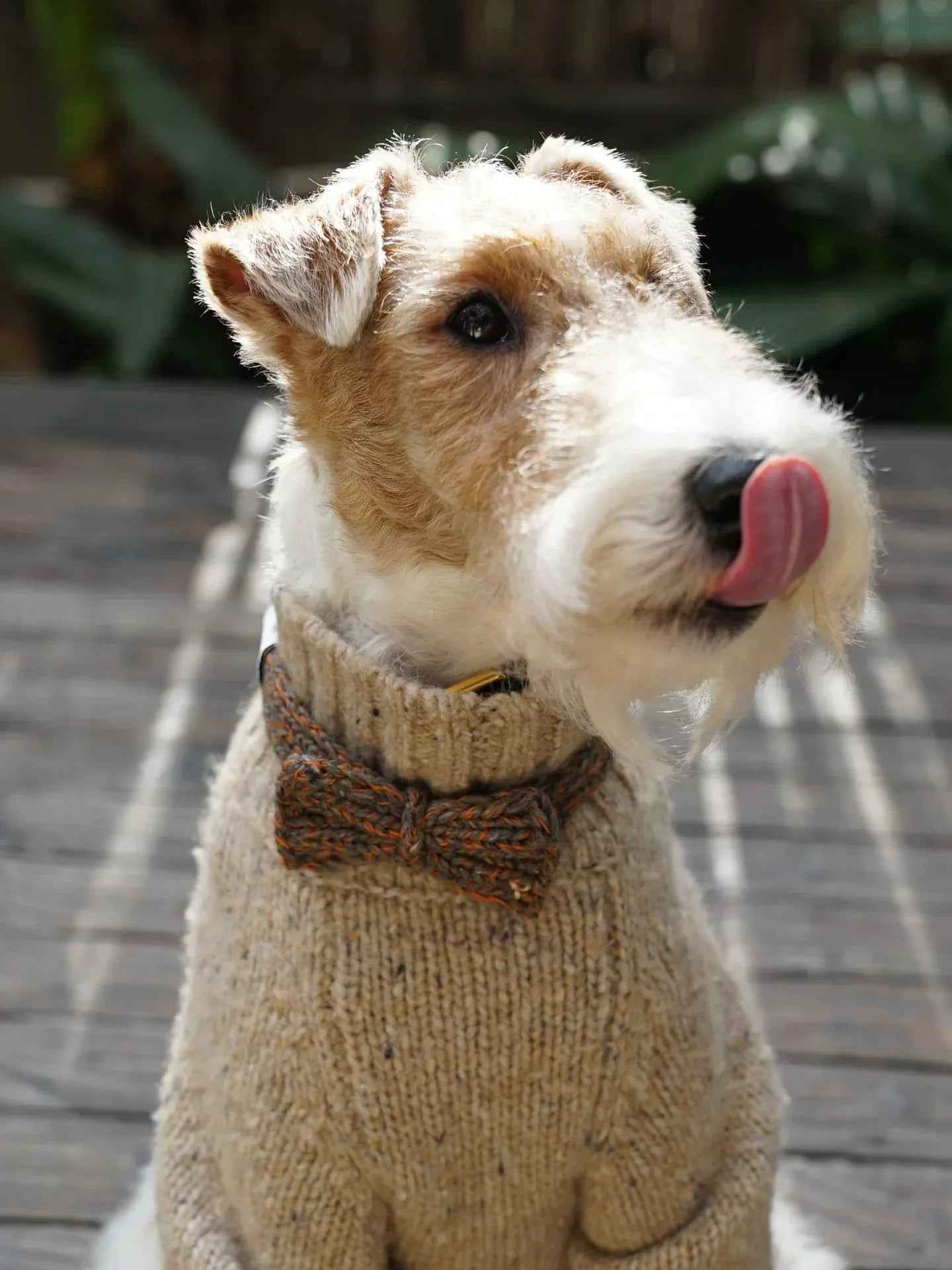 Funky Gentle Dog Series | Hand-Knitted Bow Tie in Alpaca & Wool Blend